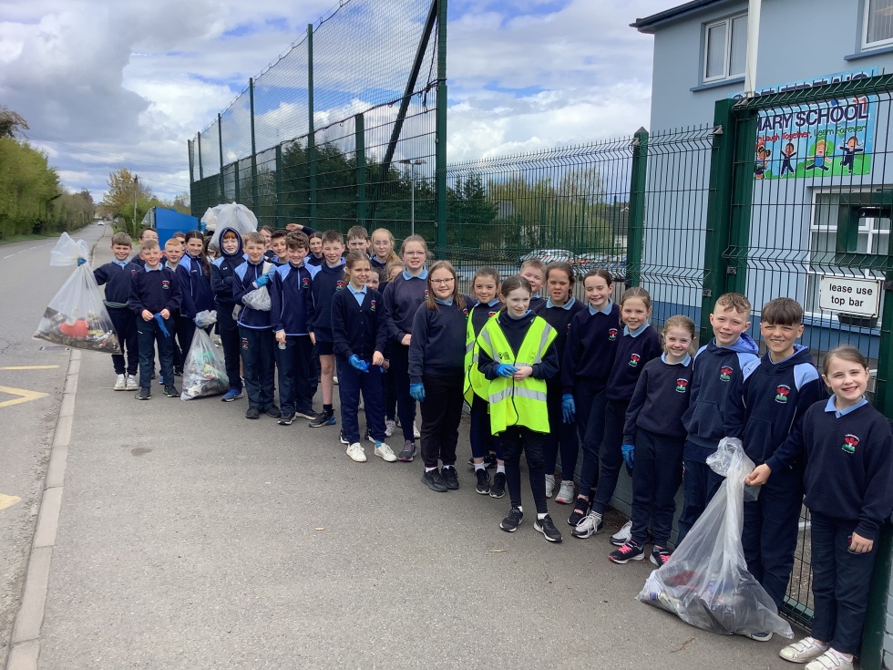 Litter pick